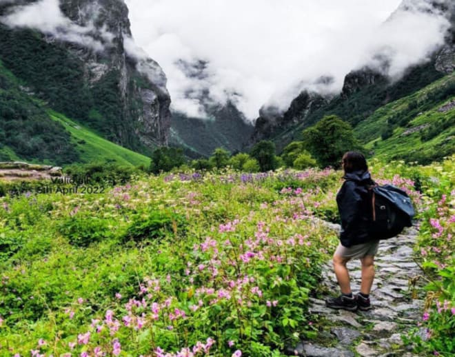 Valley of Flowers Trek from Delhi Image