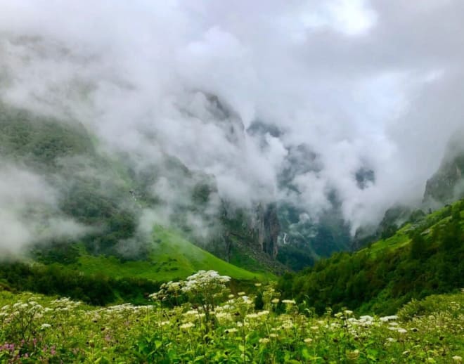 Valley of Flowers Trek from Bangalore Image