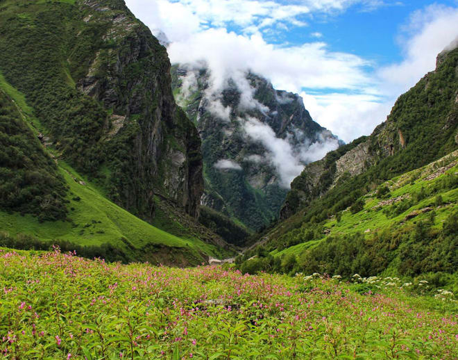 Valley of Flowers Trek from Ahmedabad Image