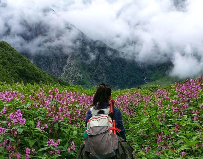 Valley of Flowers Trek from Ahmedabad Image