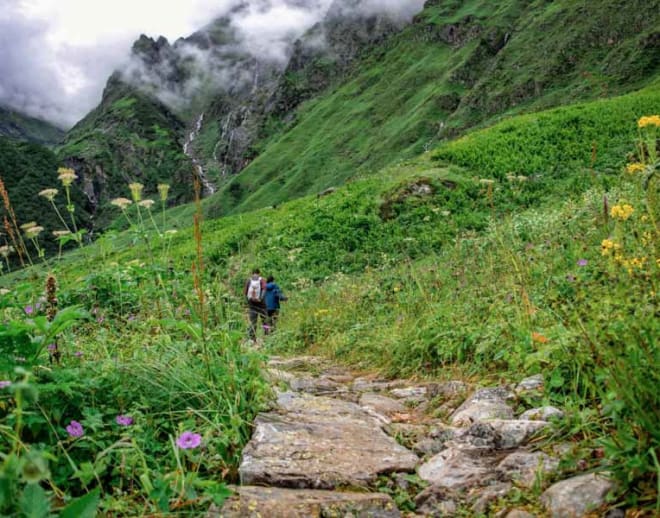 Valley of Flowers Trek from Joshimath Image