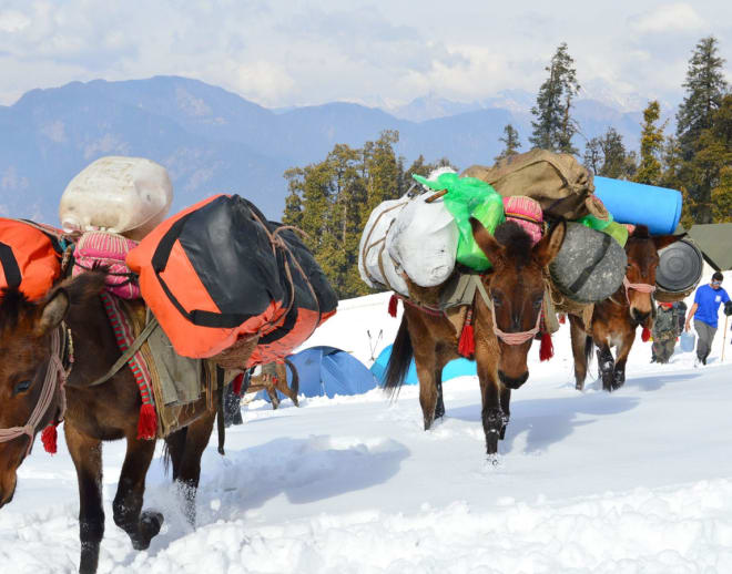 Kedarkantha Trek from Hyderabad Image