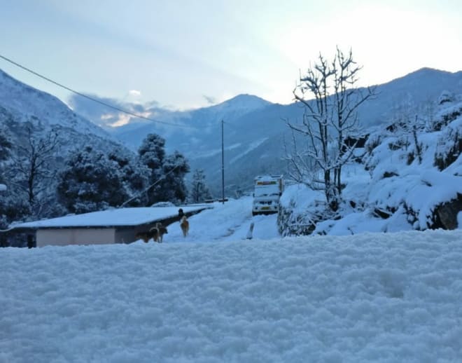 Kedarkantha Trek from Sankri Image