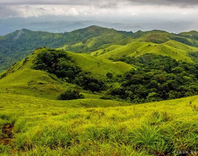 Bangalore to Coorg Package Tour for 3 Days Image