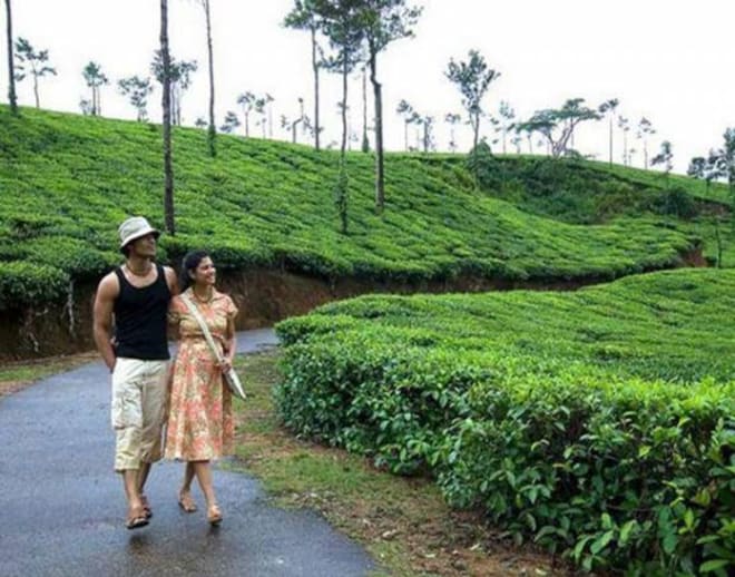 Bangalore to Coorg Package for Couple Image