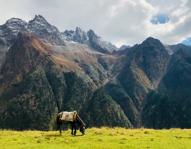 Buran Ghati Trek from Shimla Image