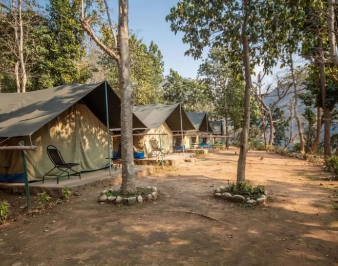 Luxury camping in Rishikesh Image