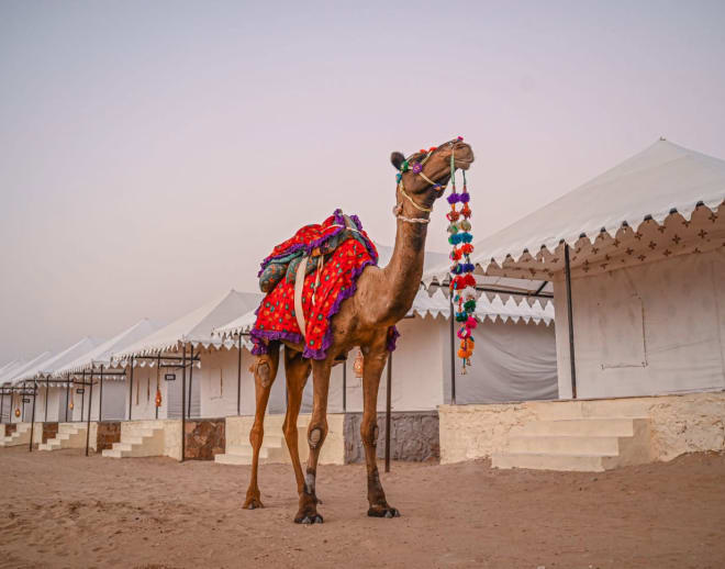 Jaisalmer Desert Camp Package Image