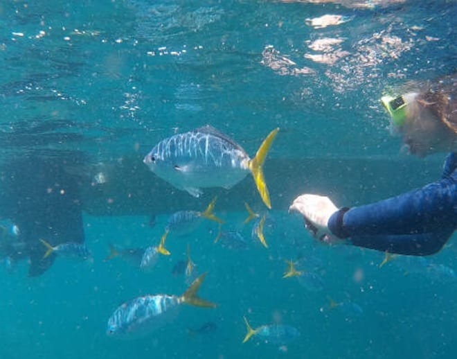 Snorkeling in gokarna Image