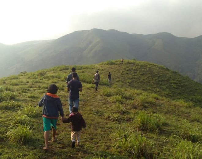 Sathram Jungle Safari Image