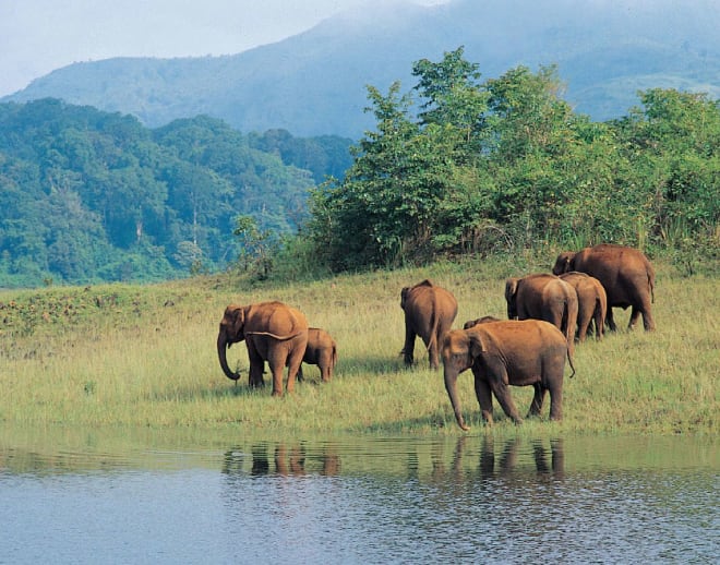 Sathram Jungle Safari Image