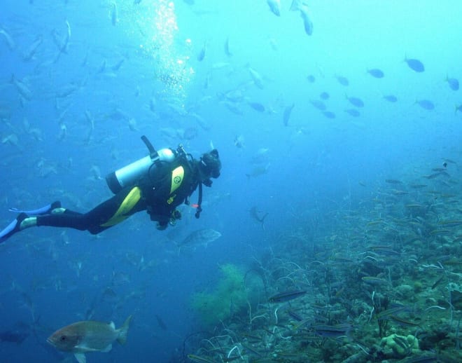 Scuba Diving Course in Kovalam Image