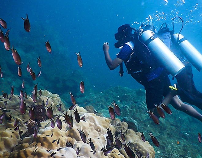 Scuba Diving in Murudeshwar, Gokarna Image