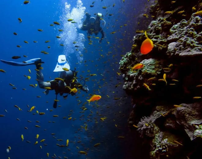 Scuba Diving in Murudeshwar, Gokarna Image