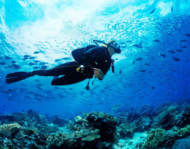 Scuba Diving in Murudeshwar, Gokarna Image