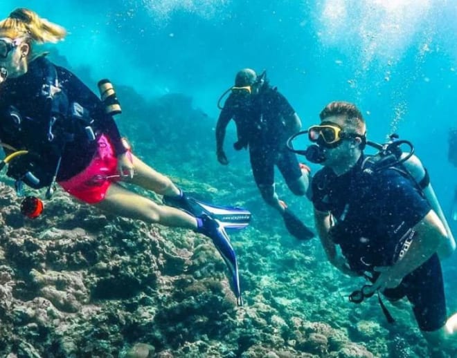 Scuba Diving Course in Goa Image