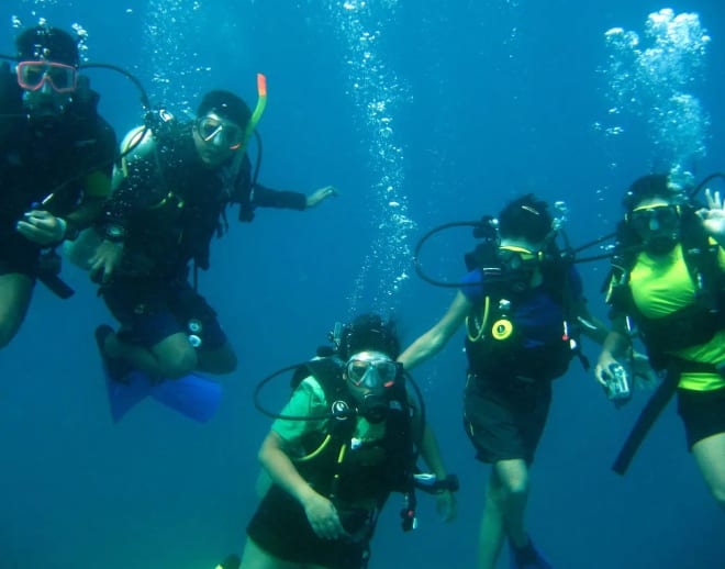 Scuba Diving Course in Goa Image