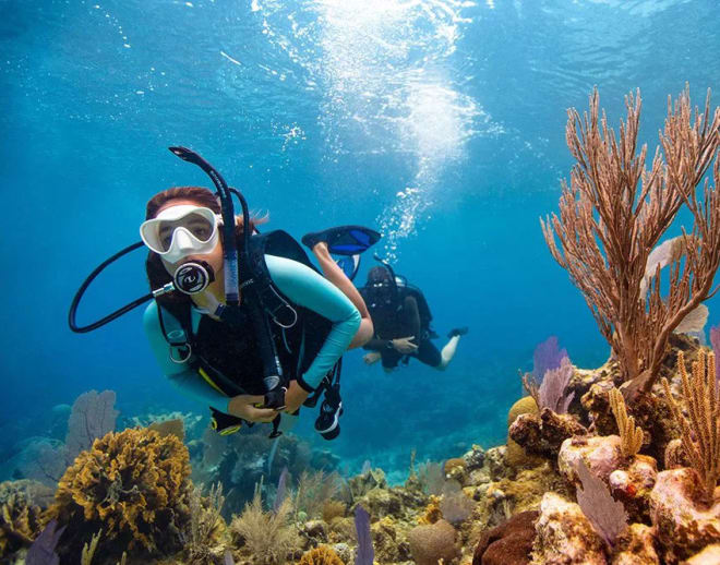 Scuba Diving Course in Goa Image