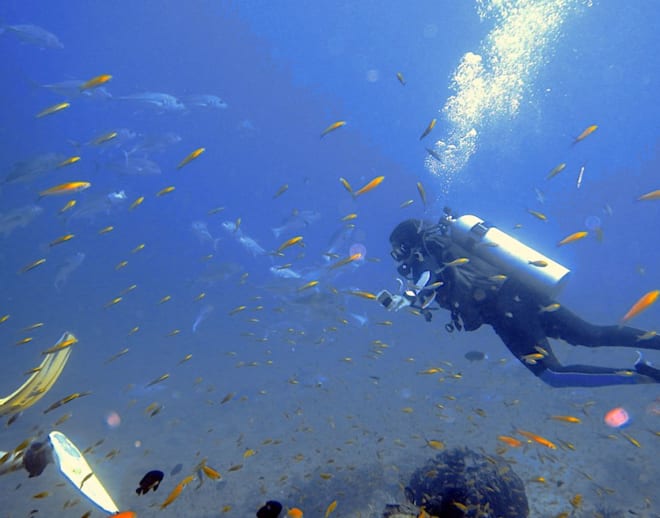 Scuba Diving Course in Murdeswhar Image