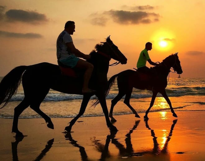 Horse Ride In Goa On Agonda Beach With Beach Ride and Swimming With Horse Image