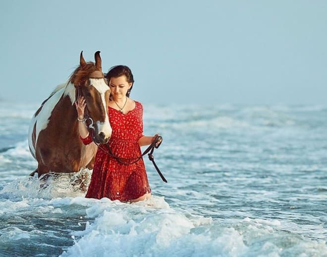 Horse Ride In Goa On Agonda Beach With Beach Ride and Swimming With Horse Image