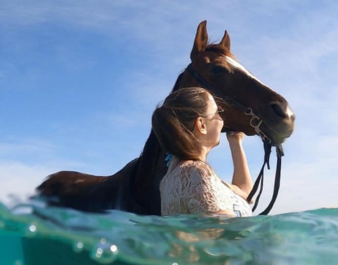 Horse Ride In Goa On Agonda Beach With Beach Ride and Swimming With Horse Image