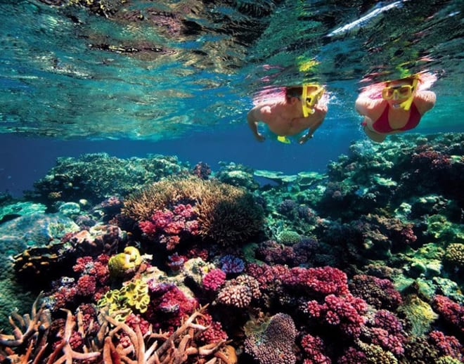 Snorkeling in gokarna Image