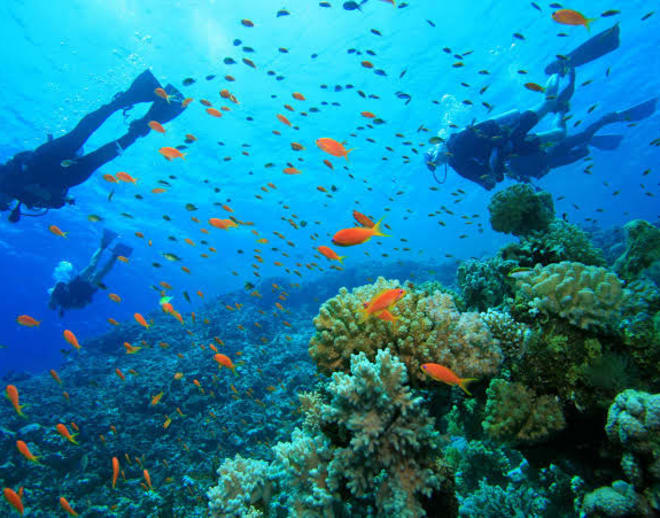 Snorkeling in gokarna Image