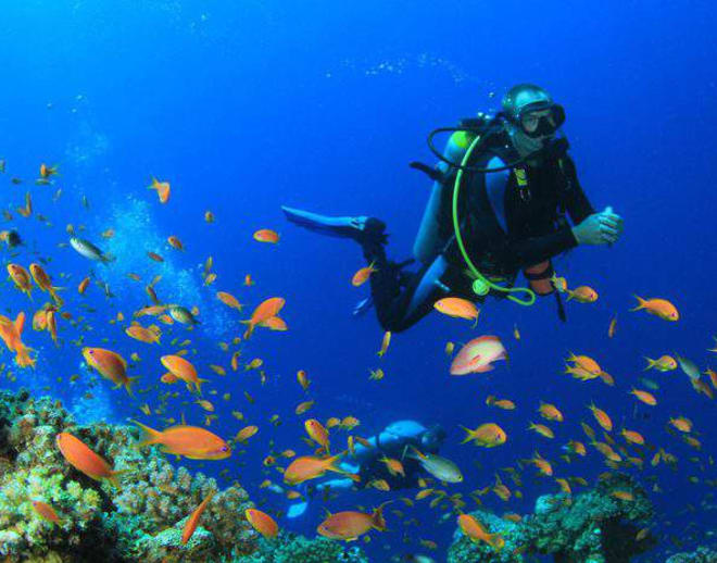 Grand Island Goa Water Sports With Scuba Diving Image