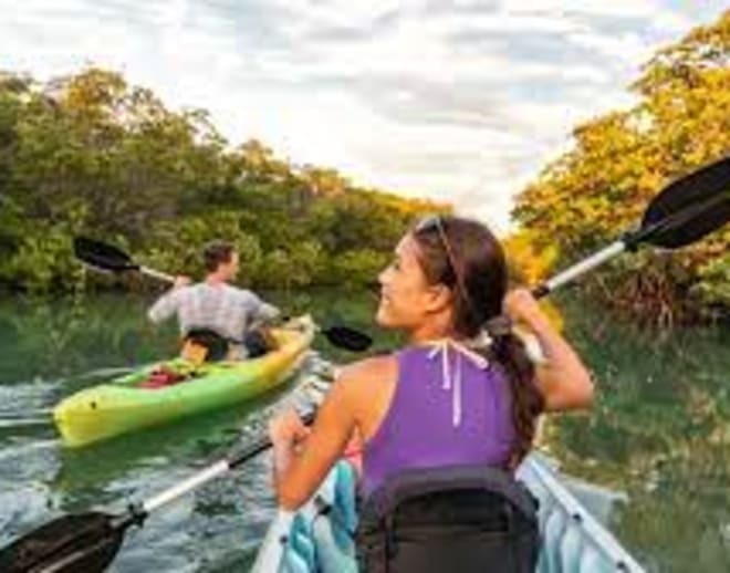 Kayaking in Goa at Chapora River Image