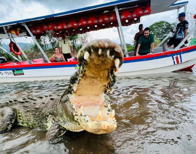 Crocodile Safari Goa Image