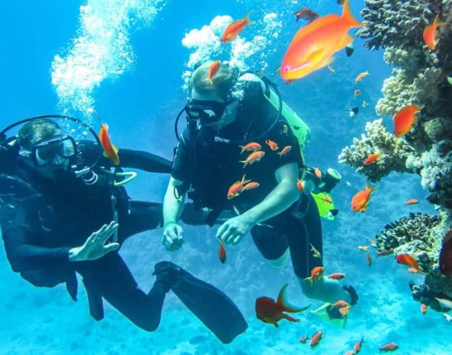 Scuba Diving in Kovalam Image