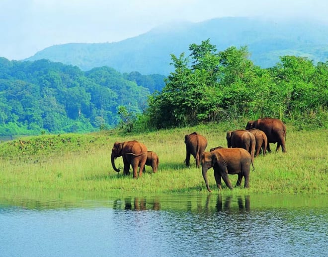 Idukki Day Tour Image