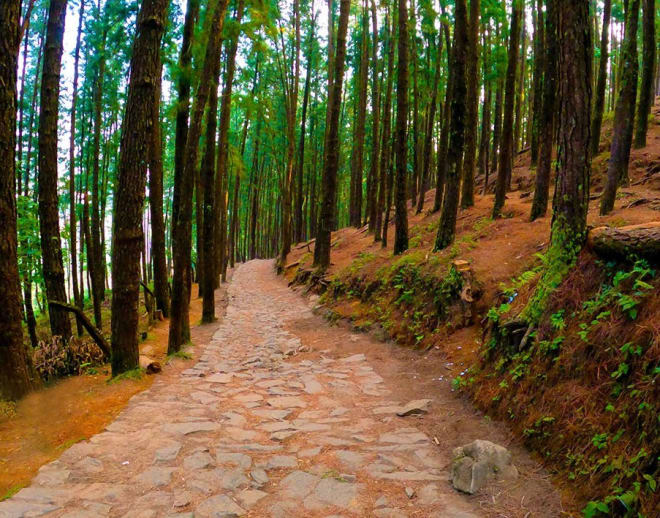 Vagamon Day Tour Image