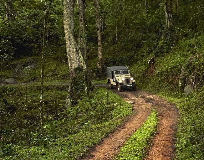 Aangamoozhi Safari Image