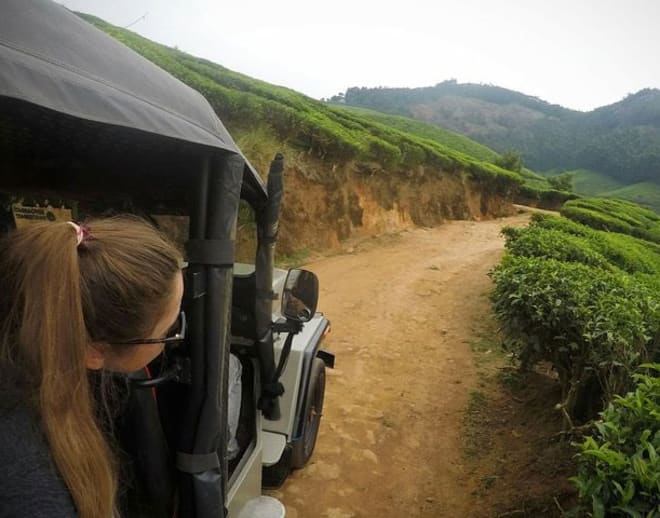 Suryanelli Munnar Image