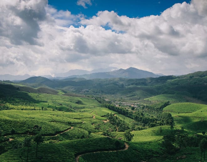 Suryanelli Munnar Image