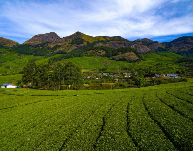 Suryanelli Munnar Image