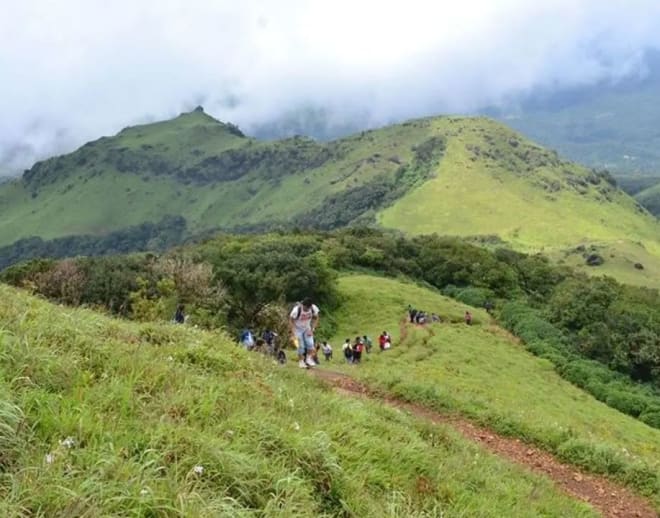 Tadiandamol Trek - New Year Special Image