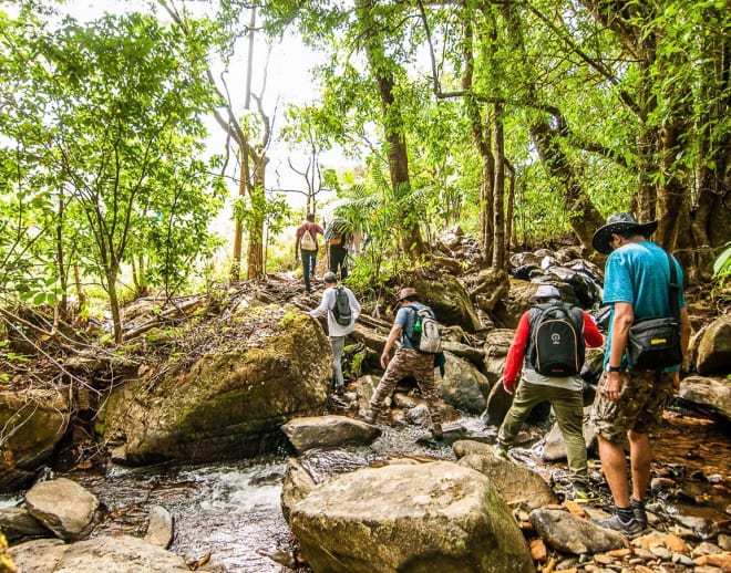 Netravati Peak Trek - New Year Special Image