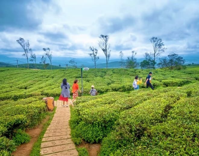 Glenmorgan Trek, Ooty Image