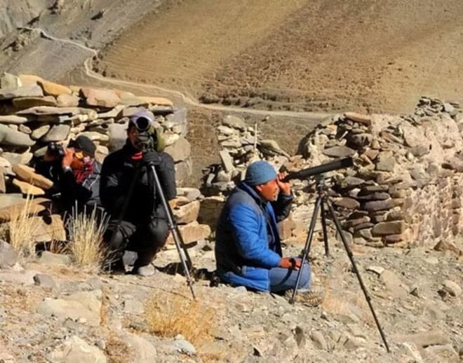 Snow Leopard Trek Ladakh Image