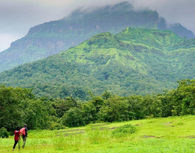 Malshej Ghat Camping Image