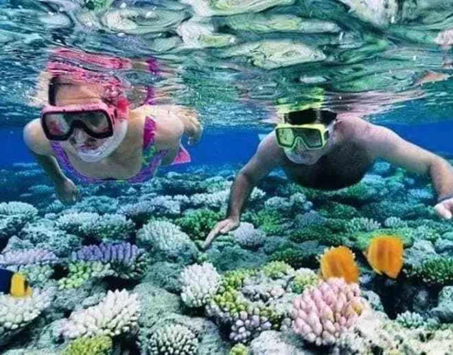 Water Sports in Havelock Island Image