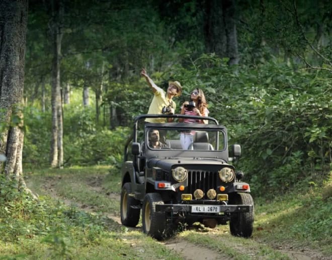 Mandalpatti Jeep Safari Image