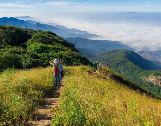 Chiang Mai Jungle Trek Image