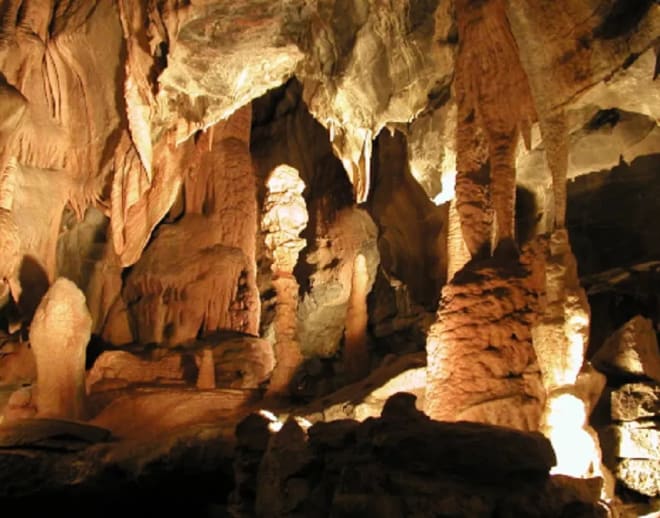 Meghalaya Group Tour Package (6D/5N) Image