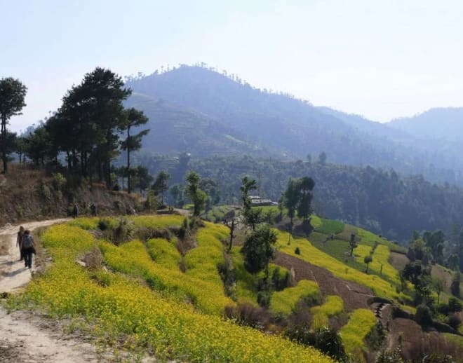 Kathmandu valley trek Image