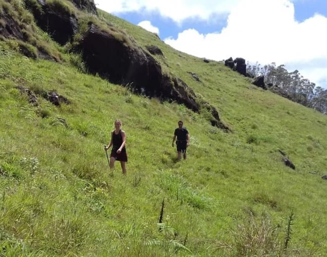 Half Day trekking, Munnar Image