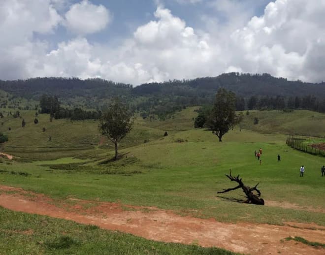 Trekking To Dolphin’S Nose, Kodaikanal Image